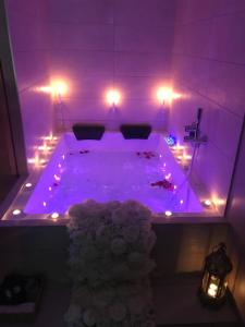 Appartements Nid a bulles - Loft 35m2 sauna jacuzzi 10min centre Strasbourg : photos des chambres