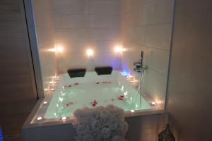 Appartements Nid a bulles - Loft 35m2 sauna jacuzzi 10min centre Strasbourg : photos des chambres