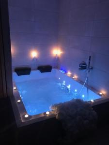 Appartements Nid a bulles - Loft 35m2 sauna jacuzzi 10min centre Strasbourg : photos des chambres