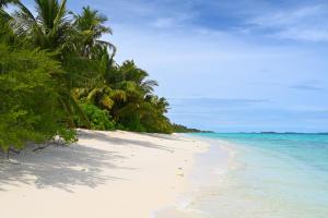 Boutique BeachInclusive Diving Hotel