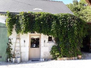 Maisons de vacances La CASITA : photos des chambres