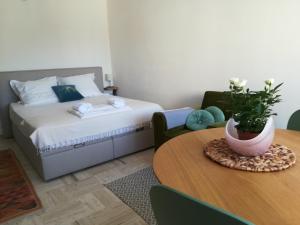 Appartements Studio calme et tres lumineux, au pied de notre Dame de la Garde : photos des chambres