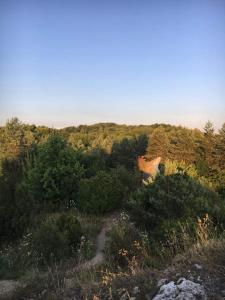 Zajazd Euforia & Restauracja Spichlerz
