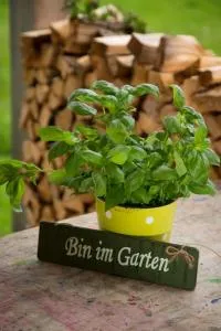 Gartenstudio Waldblick - 施瓦岑贝格