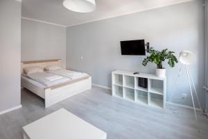 Silver Vision Apartment - Rynek