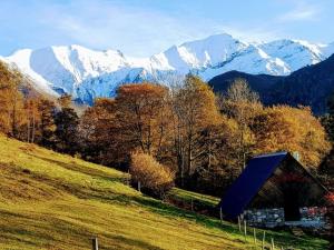 Appartements Le Pic de Pan - Auberge & Gites : photos des chambres