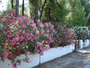 Villa of traditional architecture Halkidiki Greece