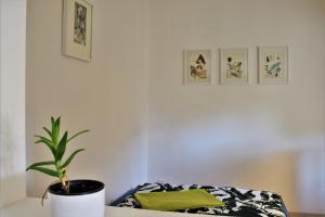 Vila Velebita, sweet cozy appartement :)