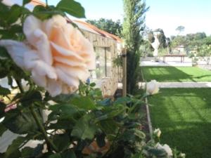 Maisons d'hotes Chateau Du Comte : photos des chambres