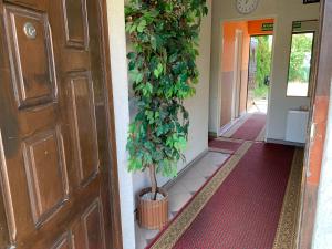 Boss 2000 Usługi Hotelarskie