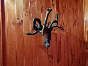 Cabañas El Diuco en Coñaripe 1