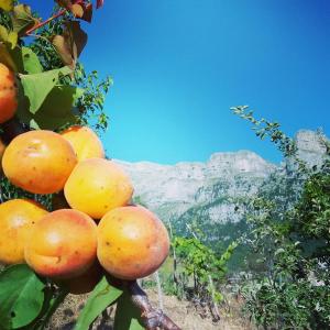 Morfeas Guesthouse Epirus Greece