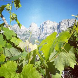 Morfeas Guesthouse Zagori Greece