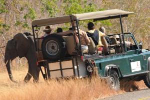 Ngama Safari Lodge, Chobe Forest Reserve, Botswana