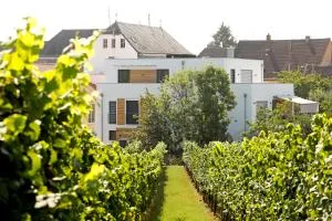 Maximilians Domizil Edenkoben - Edenkoben