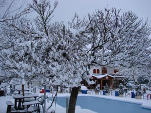 Krikonis Hotel Epirus Greece