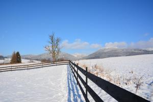 Holiday Villa Ruprechtice