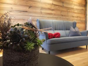 Apartment Haus Dahoam