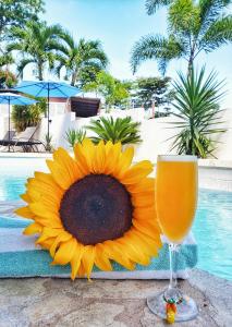 Casa Verde Hotel - Steps to the Beach, Pool, Restaurant & Bar - 3hvězdičkové hotely ve městě Rincón