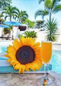 Casa Verde Hotel - Rincón