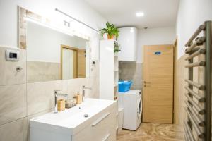 Apartma soline Seča 
