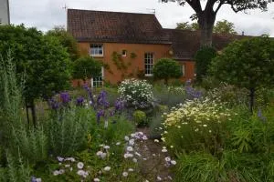 Unique cosy cottage with stunning gardens - Fisherrow