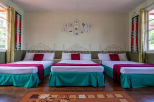 Old Orangewood Bed & Breakfast