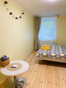 Excelent apartment with garden and free parking