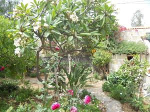 Casa Rural Anton Piche with Pool-Adults Only