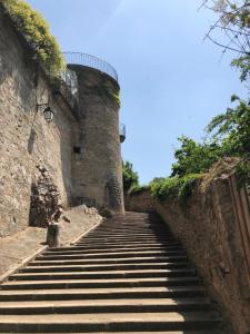 Maisons de vacances Batisse du pont Pinard et son granit rose : photos des chambres