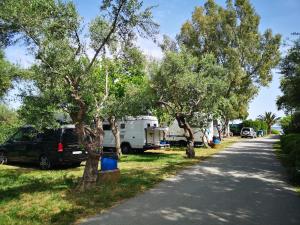 Camping Gythion Bay Lakonia Greece