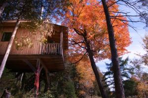 Les Cabanes du Trappeur avec spa et sauna