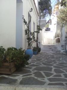 O xsenonas tis Elenis Andros Greece