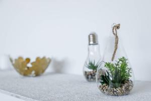 T2 SUPERBE VUE MER et Vallon Des Auffes avec Parking