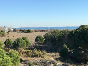 Appartements La Grande Motte T2 vue sur la mer et les dunes, piscine, clim : photos des chambres