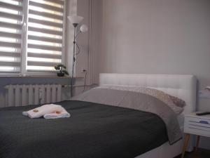 APARTAMENTY CENTRUM PAŁACOWA