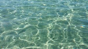 Casa Isabel IUN P9639 img24