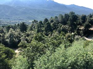 Auberges de jeunesse U Castellu : photos des chambres