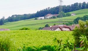 Double Room with Mountain View room in Cave Du Treyblanc