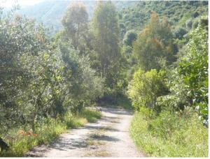 B&B Santu Larentu img11