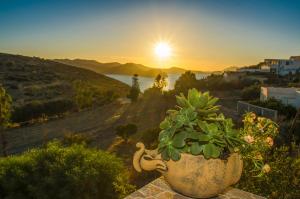 Palaios Rooms Milos Greece