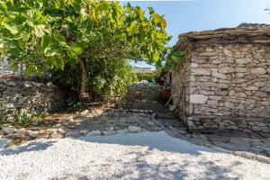 Coffee House Kafenio Thassos Greece