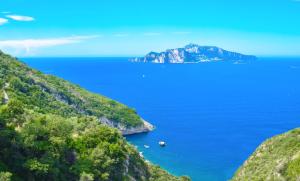 Amore Rentals - Villa Bacco