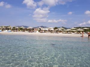 Sunny garden house img13