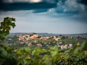 I Quattro Grappoli - Neive