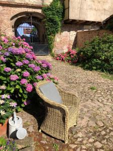 Les Hortensias