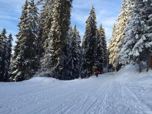 Verbier Valmont in center