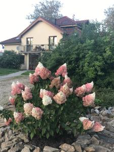 Apartment Apartman Harmonia Prazska Poděbrady Czech Republic