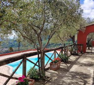 Agriturismo A casa di Anna