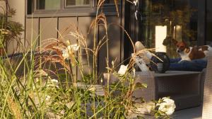 Les terrasses de Templeuve photo 6